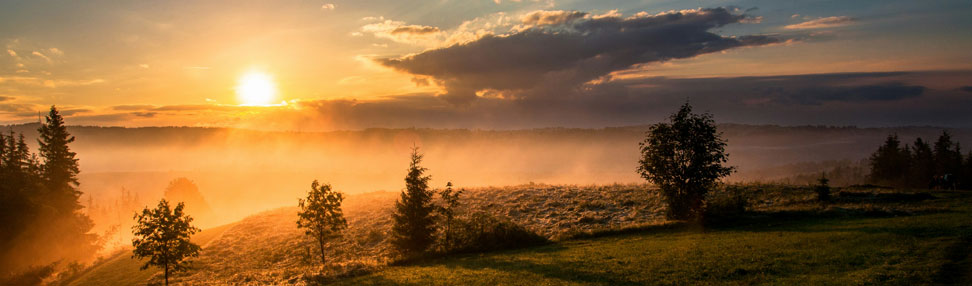 Natural Sources of Vitamin D